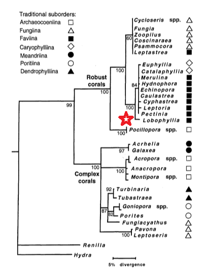 figure image